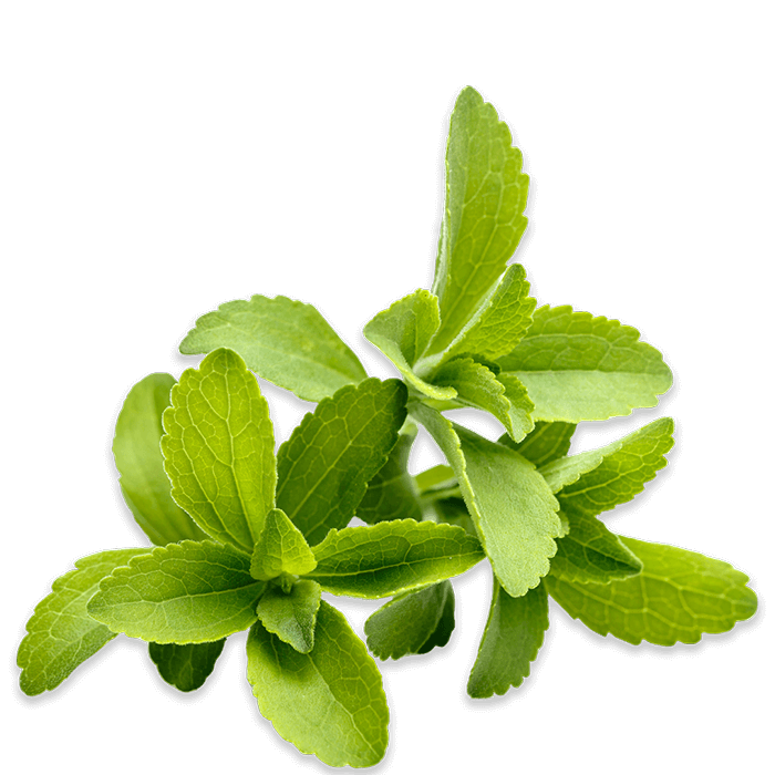 Stevia (4)