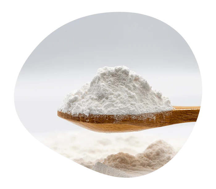 erythritol-powder.png